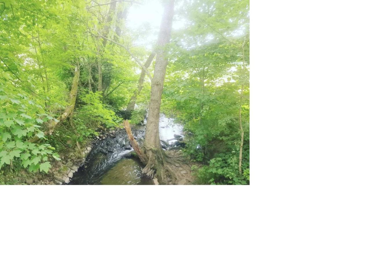 Natur Pur Frielendorf Zewnętrze zdjęcie