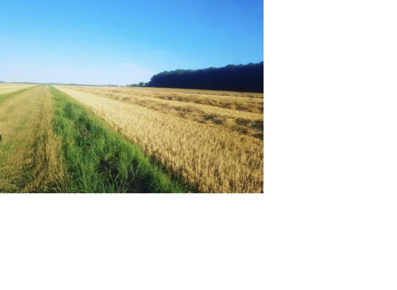 Natur Pur Frielendorf Zewnętrze zdjęcie